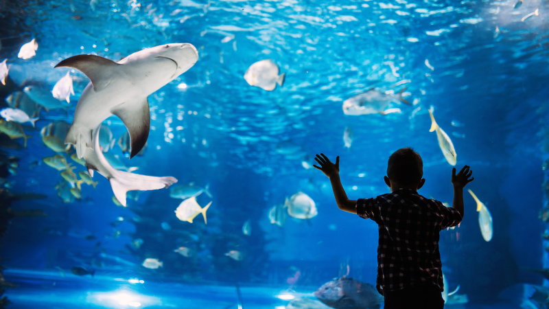 Union Station: Your Destination for Fun in St. Louis | RedKey Realty Leaders